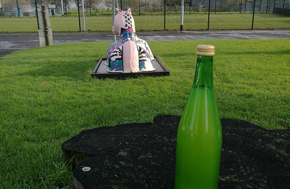 For Sale fresh and delicious apple juice - From 2017 Crop Learning Hub Limerick